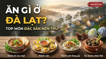 Ăn Gì Ở Đà Lạt? 15 Món Đặc Sản Trứ Danh Không Thể Bỏ Qua