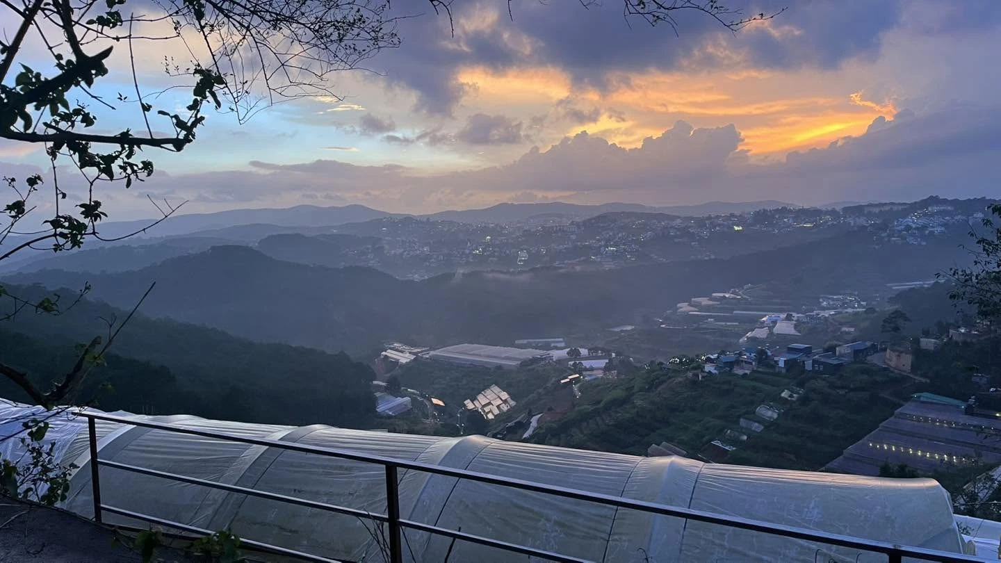 Top 10 quán cafe view đẹp tại Đà Lạt — Đáng trải nghiệm