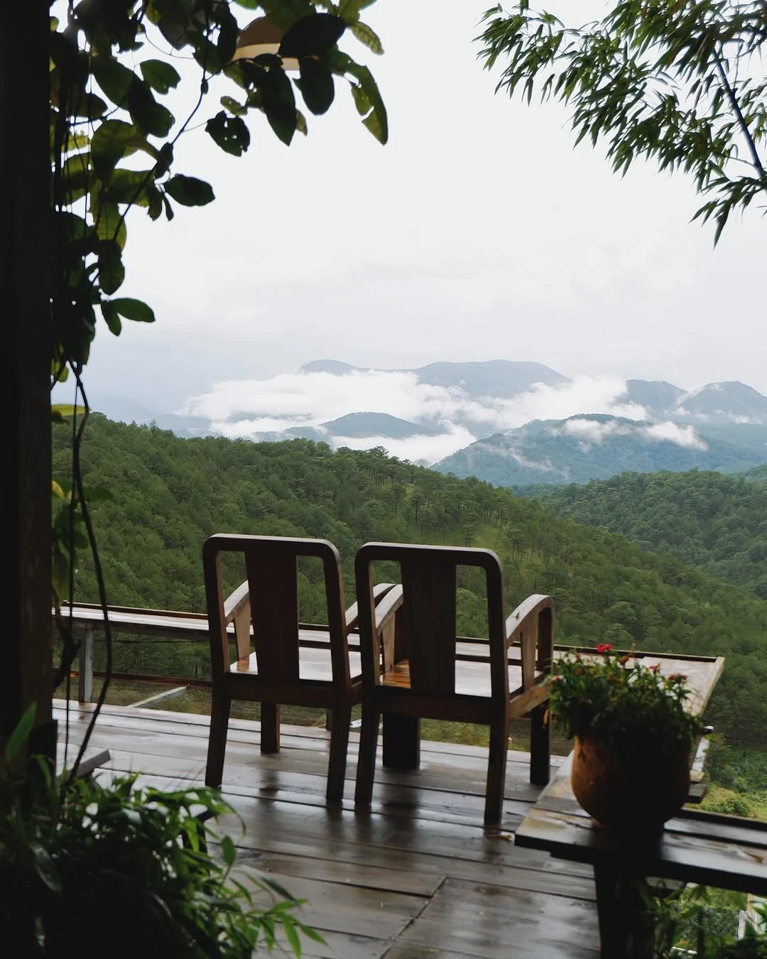Top 10 quán cafe view đẹp tại Đà Lạt — Đáng trải nghiệm