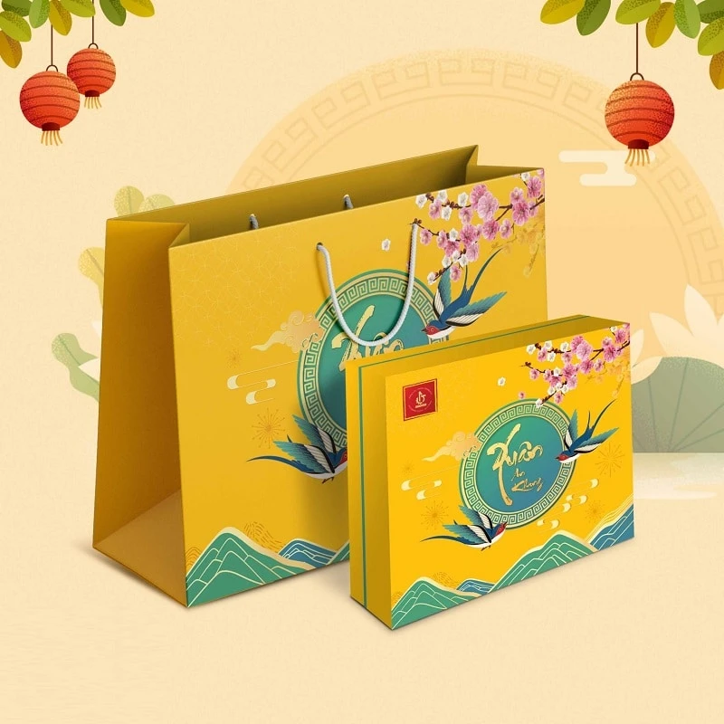Mẫu hộp quà Tết - Túi giấy quai xách đi kèm hộp quà Tết