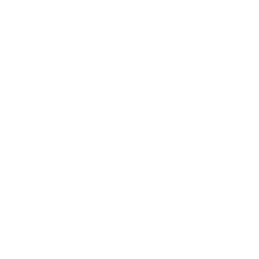 TRIPLE TI AGENCY